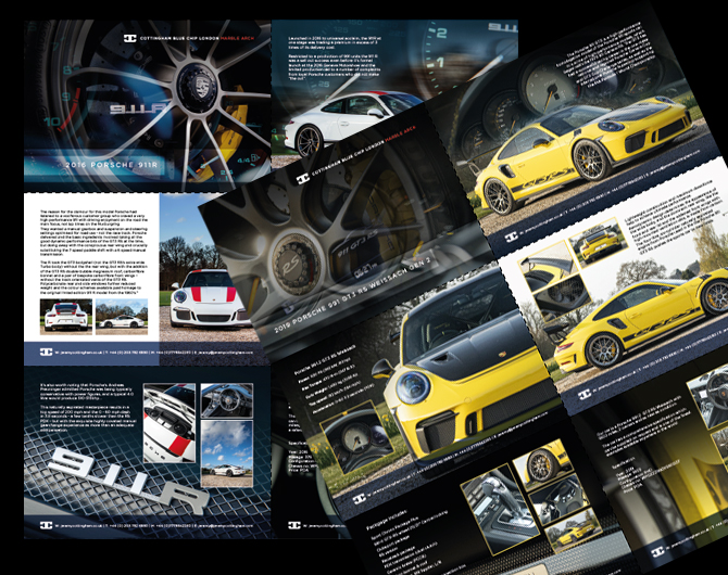 portfolio